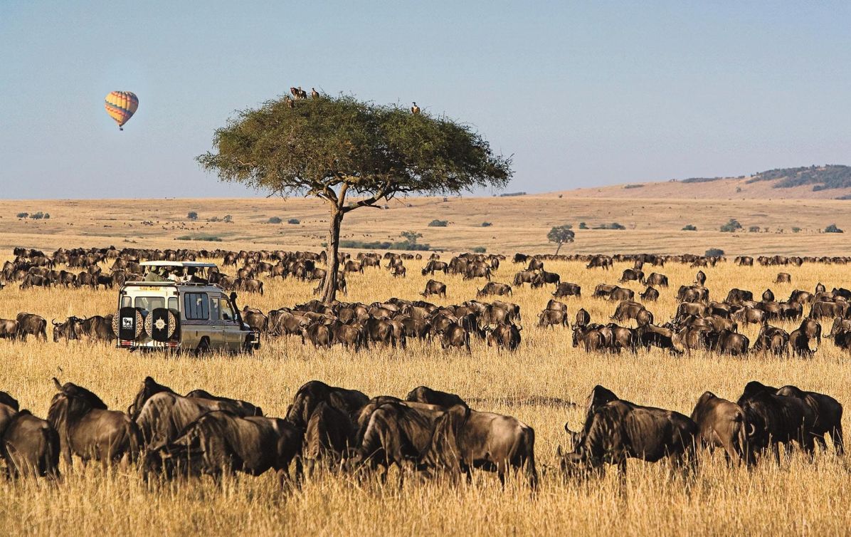 10 Day Tanzania Safari