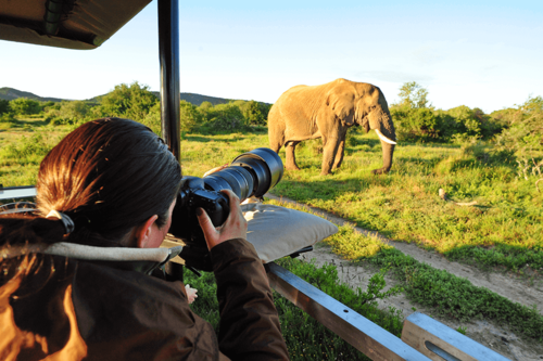 10 Day Tanzania Safari