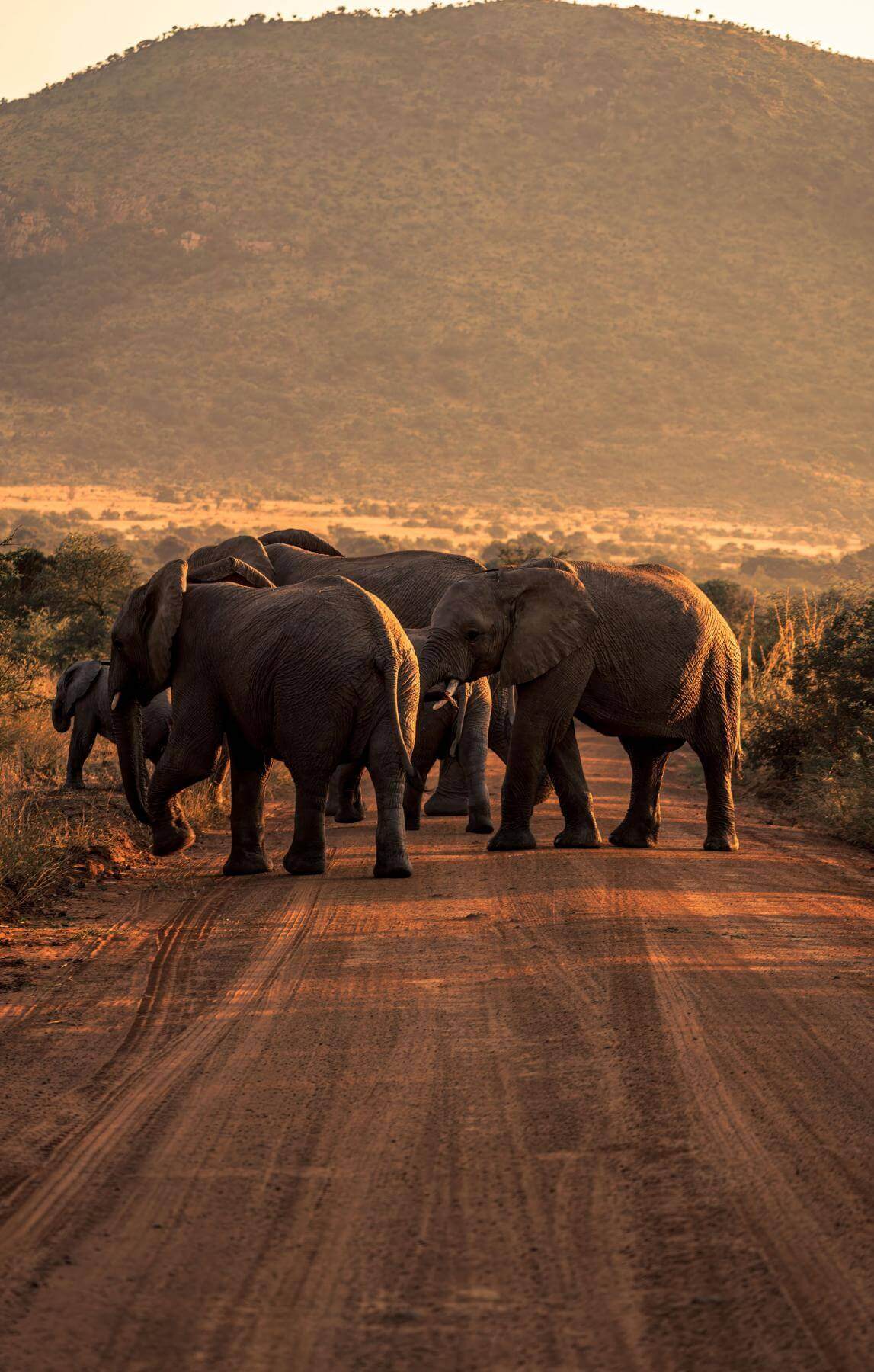 Tarangire National Park