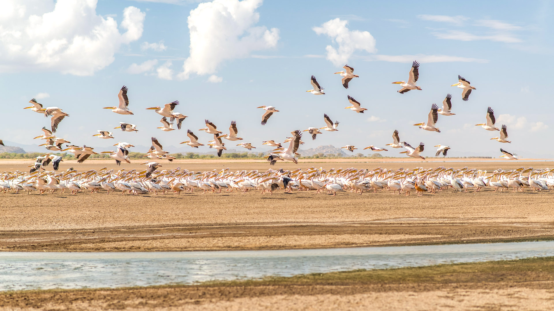 8 Day Tanzania Adventure