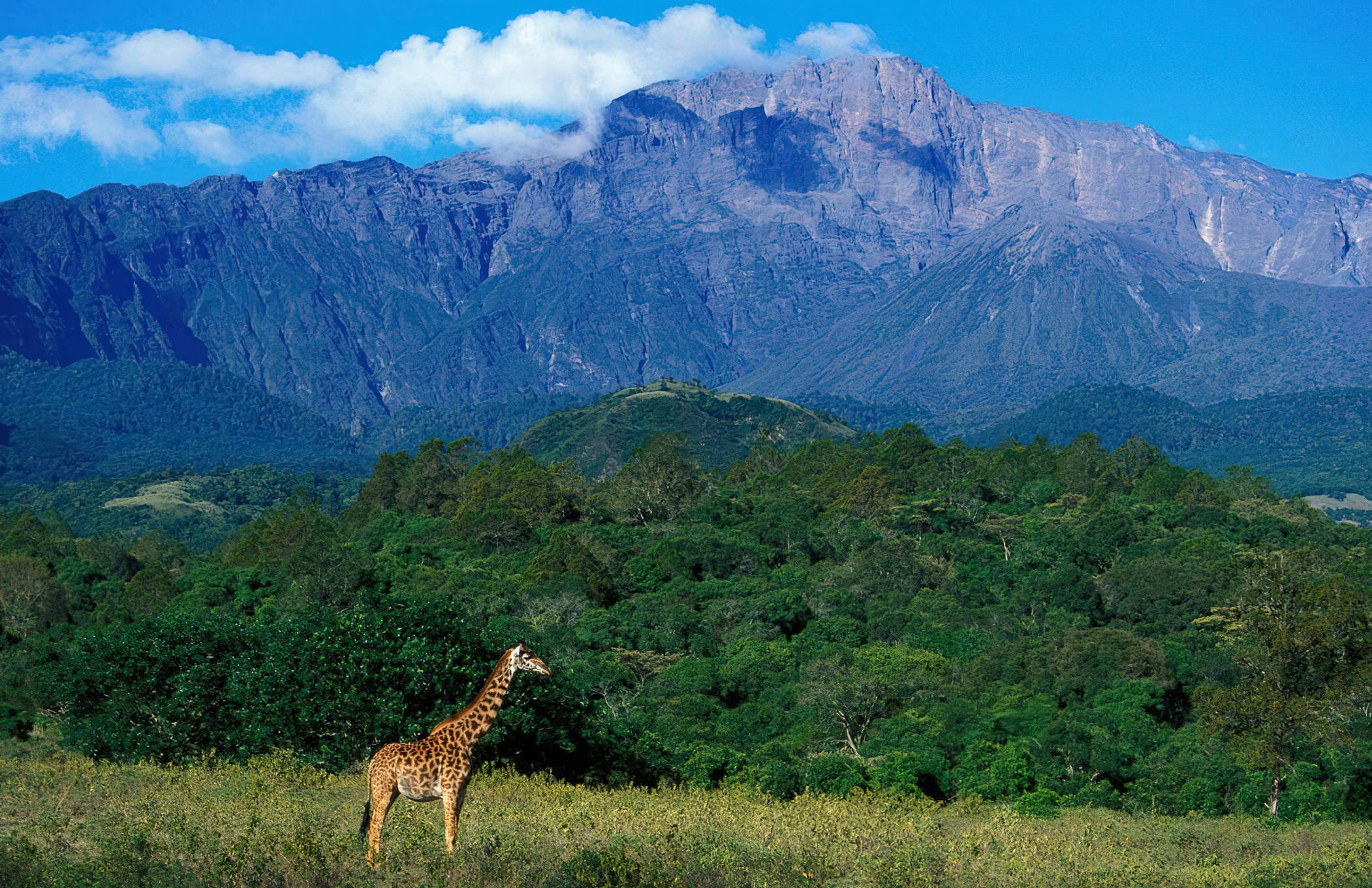 4 Day Mount Meru Trekking Tour