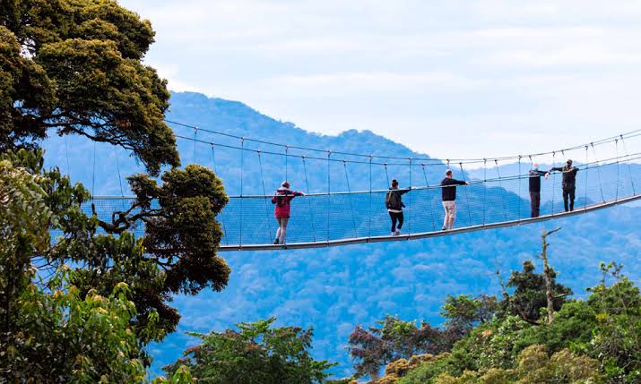 Canopy Walk in Nyungwe Forest