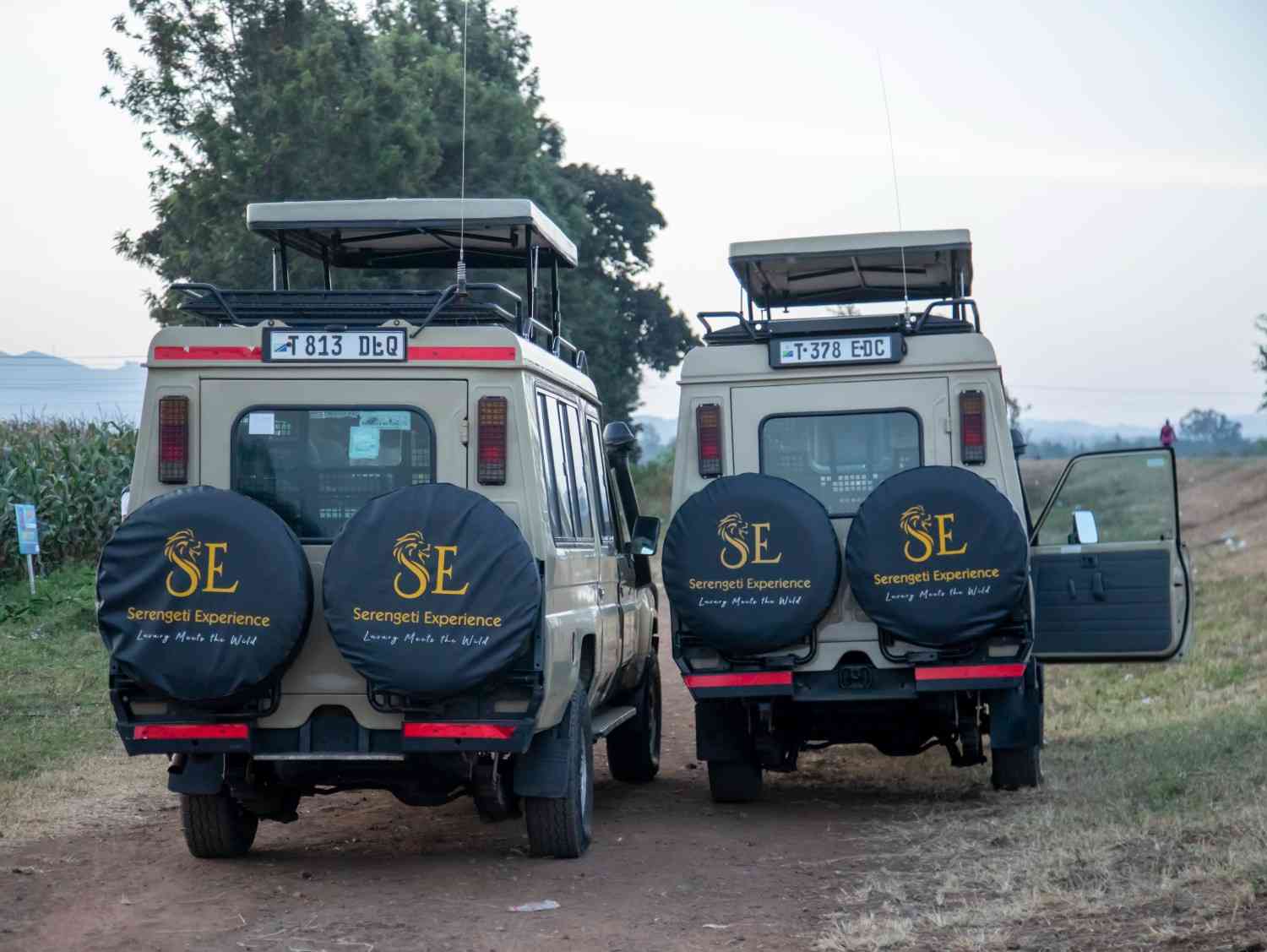 Tanzania safari with hebrew speaking guide