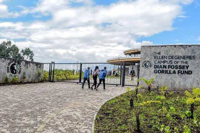 Visit Ellen Degeneres Gorilla Fund Campus