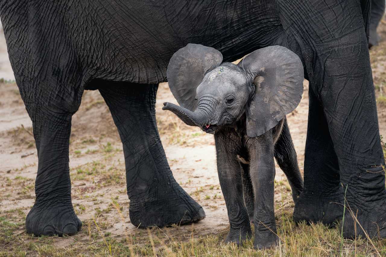 8 Day Tanzania Adventure