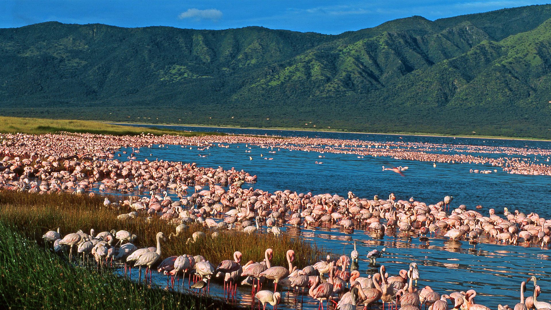 3 Day Lake Natron And Ol Doinyo Lengai Hiking Adventure