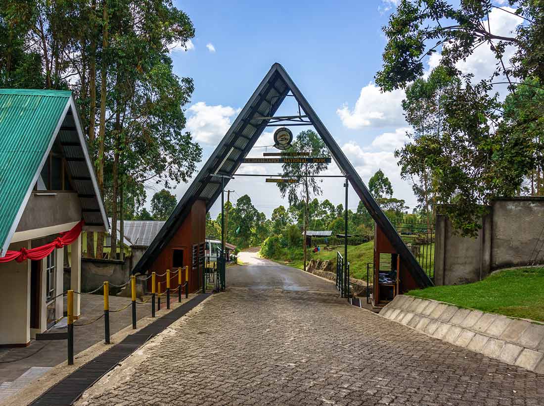 9 Day Kilimanjaro Climb