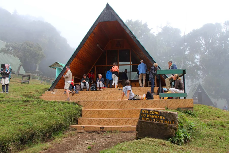 8 Day Marangu Route Kilimanjaro Climb