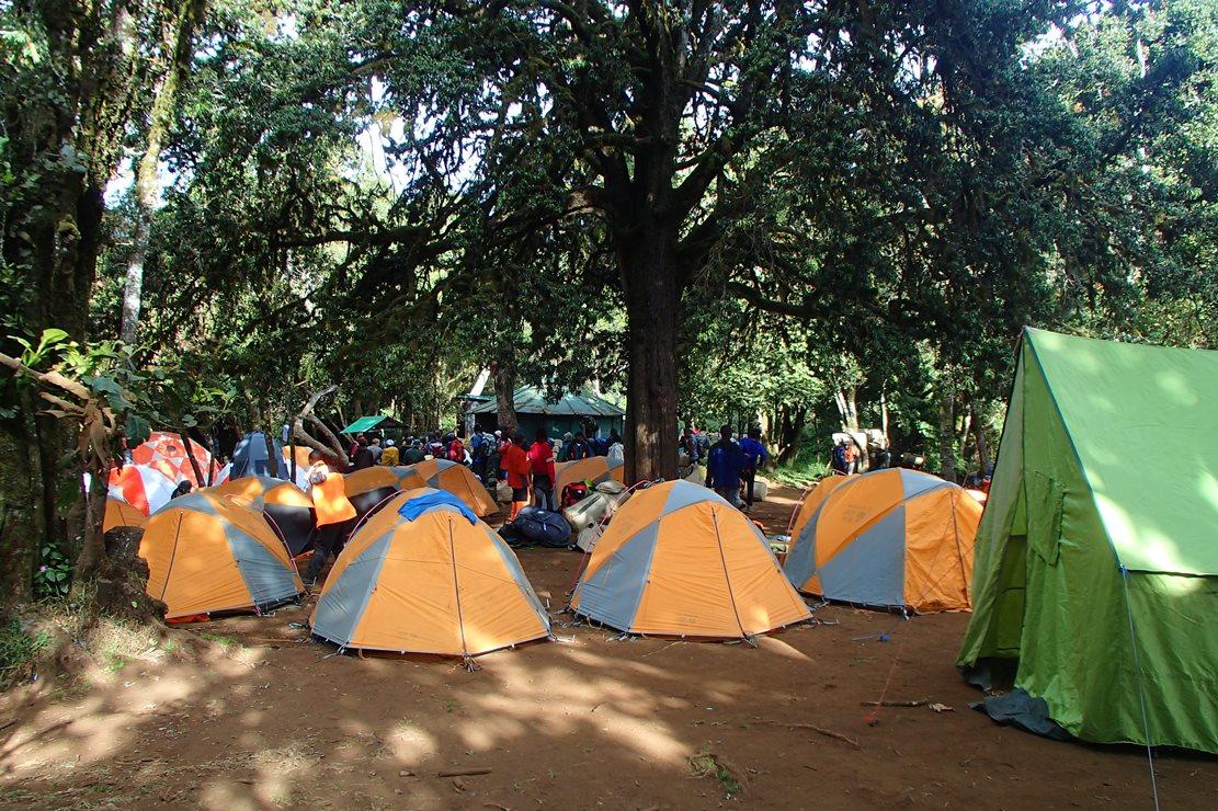 9 Day Machame Route Kilimanjaro Climb