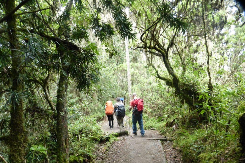 9 Day Kilimanjar8 Day Machame Route Kilimanjaro Climbo Climb