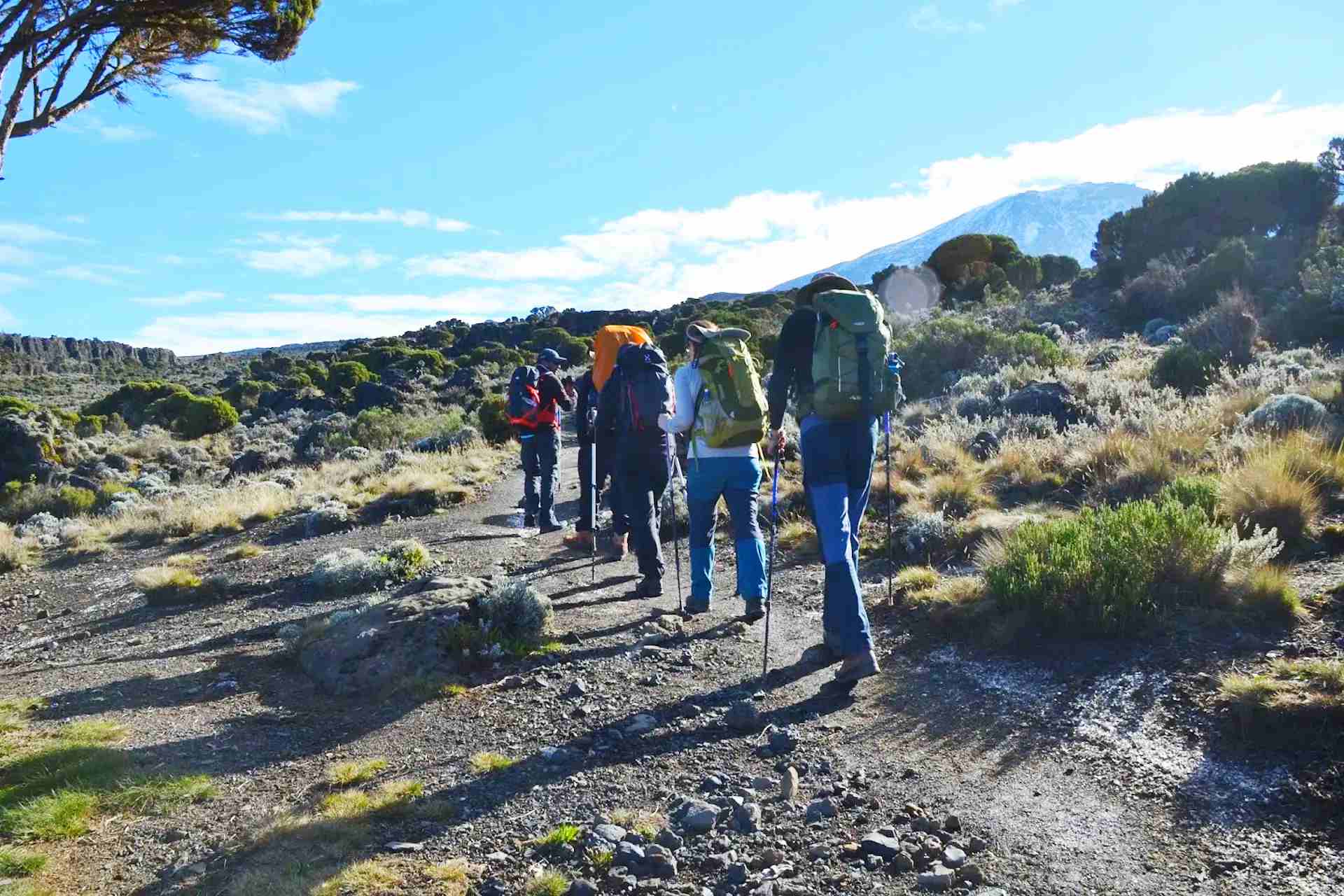 10 Day Lemosho Route Kilimanjaro Climb