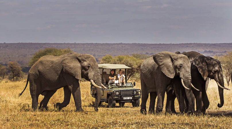 9 Days Exploring Tanzania