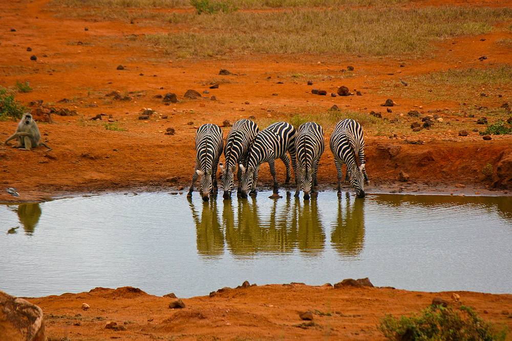 8 Day Tanzania Explore With Luxury