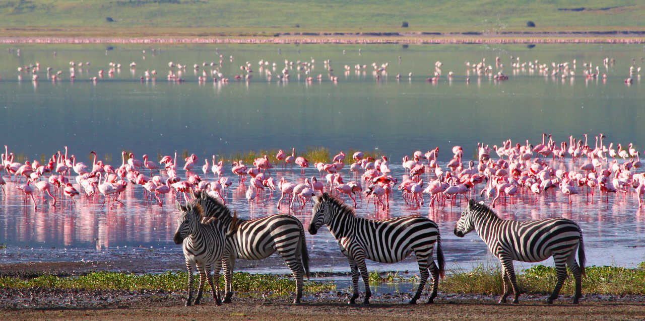 9 Days Tanzania Safari